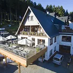 维林森林酒店 3*