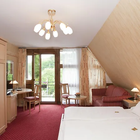 Wald 3* Willingen (Upland)