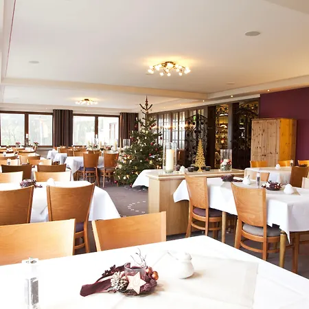 Wald Willingen (Upland)