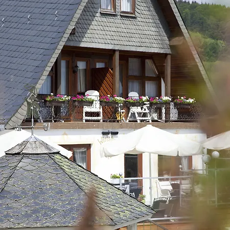 Wald 3* Willingen (Upland)