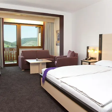 Wald Hotel 3*