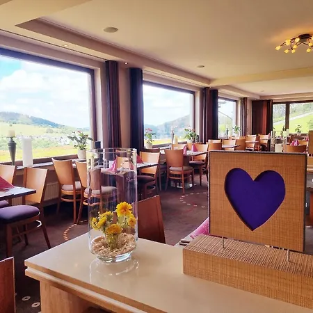 Wald Hotel Willingen (Upland)