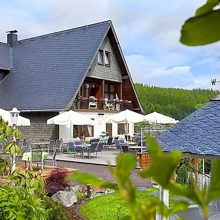 Hotel Wald
