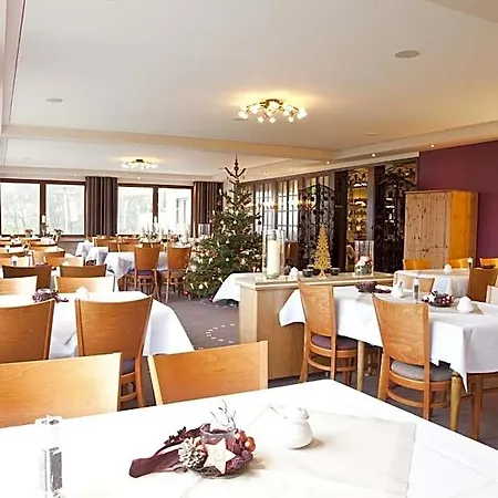 Wald 3* Willingen (Upland)