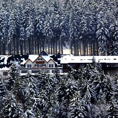 Hotell Wald 3*