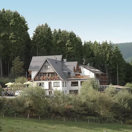 Hotel Wald