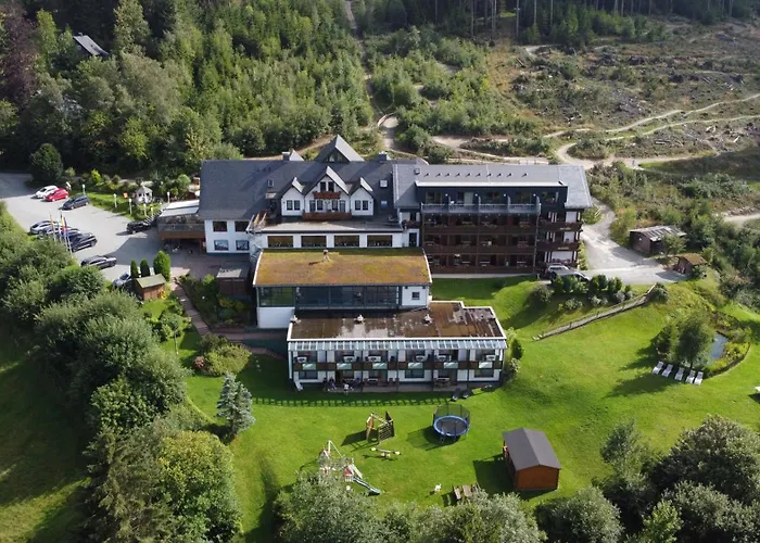 Wald 3* Willingen (Upland)