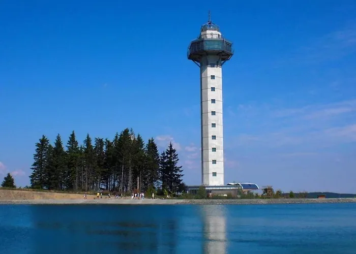 Wald Willingen (Upland)